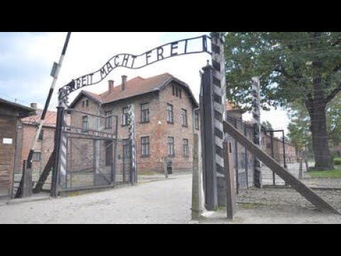 Auschwitz x Birkenau - Warning Disturbing Images x Sound,August 2022.