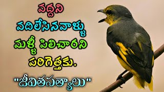 జీవిత సత్యాలు #138 |మంచి మాటలు|Inspirational quotes|Motivational quotes|సూక్తులు|Telugu quotes screenshot 4