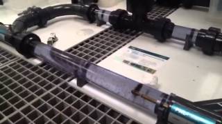 SP2_lowspeeds (Vortex bioreactor)