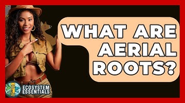 What Are Aerial Roots? - Ecosystem Essentials