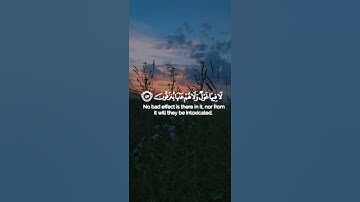 و عندهم قاصرات الطرف عين🌿ما تيسر من سورة الصافات🌿للقارئ رعد الكردي 🌿