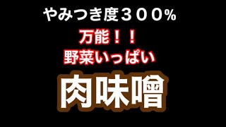 [やみつき度３００%]万能！！野菜肉味噌！！