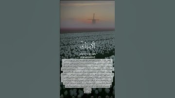 #القرآن_الكريم #alquran#اللهم_صل_وسلم_على_نبينا_محمد #سورة_البقرة #أية_الكرسي