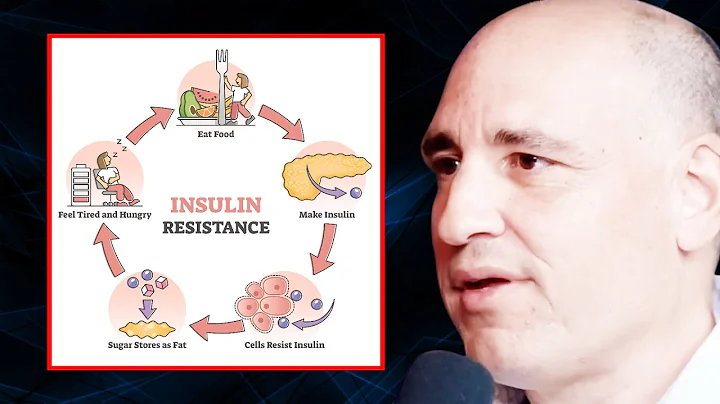 You Need to AVOID THESE FOODS to Fix Insulin Resistance | Dr. Philip Ovadia