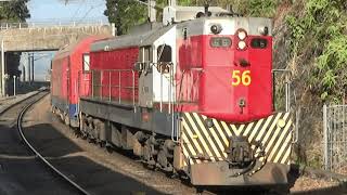 【最後GM柴 2】東鐵GM柴油機車 (56+8001) 駛經大學站二台