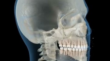 Light Language for Teeth & Gums - Garz Chan