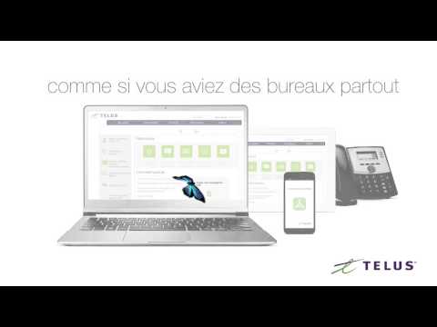 Répondez à l'appel avec TELUS Connexion Affaires