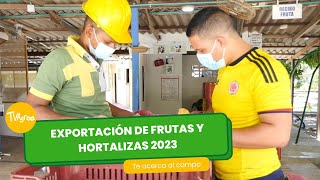 Exportación de frutas y hortalizas 2023 - TvAgro por Juan Gonzalo Angel Restrepo by TvAgro 907 views 4 days ago 5 minutes, 5 seconds