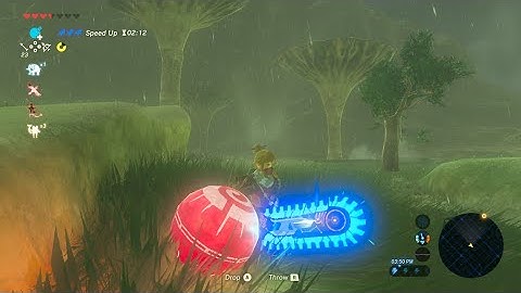 Botw BLSS compilation