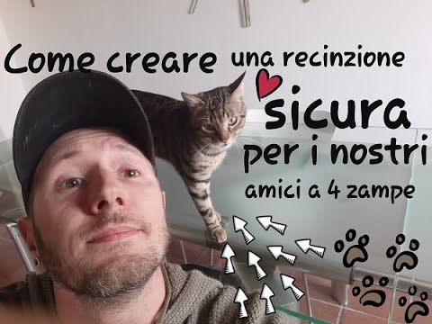 Video: Come Allestire Un Patio Per Gatti