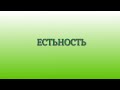 Я Есть (Естьность) & Просветление