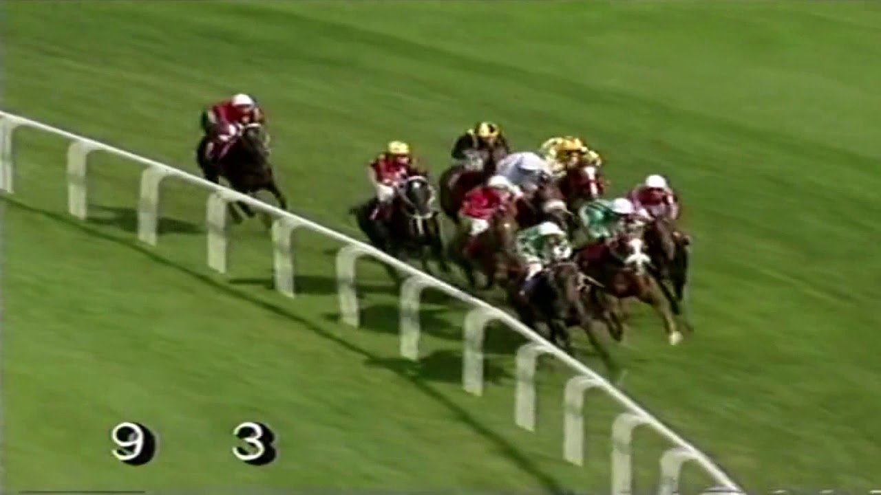 SUNDAY SURPRISE - S. AKDI | 1996 - G3 Kocatepe Koşusu