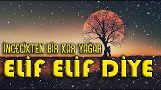 İncecikten Bir Kar Yağar Tozar Elif Elif Diye | Sözleri Yazılı (Lyrics) Video | Cengiz Çelikel