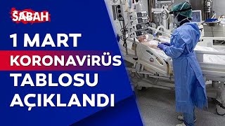 1 Mart Koronavirüs Tablosu Açıklandı Tedirgin Eden Rakamlar Sürüyor