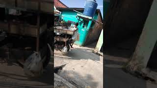 terpesona mamah cantik #shorts #tiktok