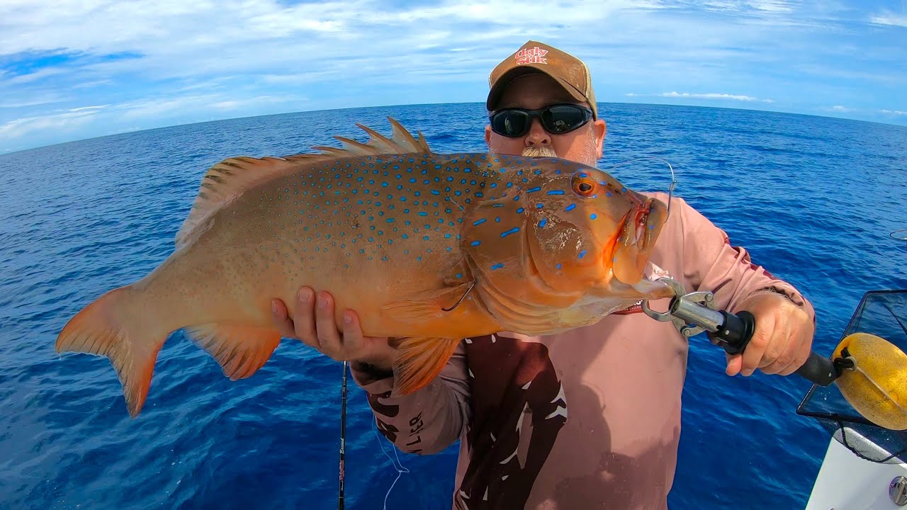 CRACKING CORAL TROUT - Live baits and soft vibes 