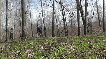 Clover Frost Seed - Strategies for the first food plot of the year.