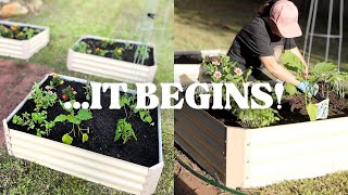 OUR FIRST VEGGIE GARDEN | Making Our No Dig Raised Vegetable Garden