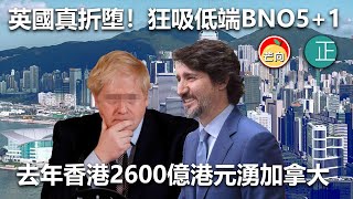 20210328F 英國真折堕!狂吸低端BNO5+1!去年香港2600億港元湧加拿大 | 芒向快報
