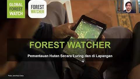 Forest Watcher: Memantau Hutan Secara Luring dan Di Lapangan