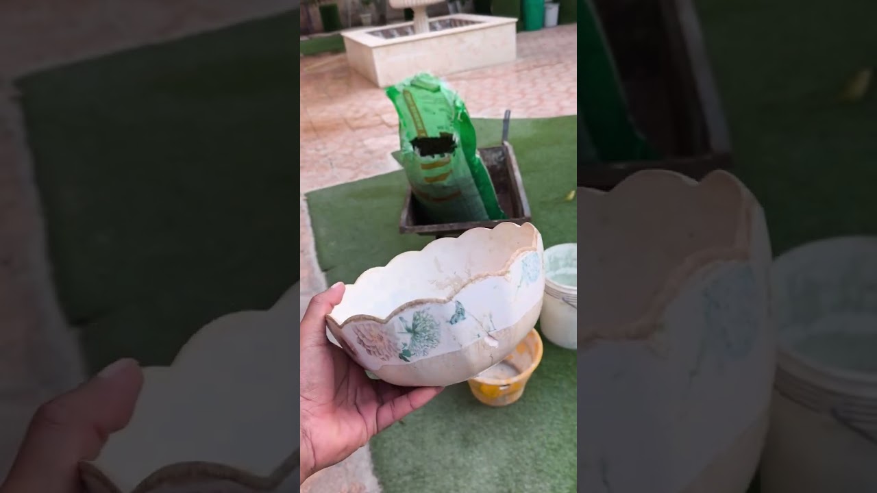 تسميد أشجار المانجو والأحواض الزراعية 11/10/2025