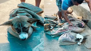 Naga People Selling Street Dog For Eating 😢😢