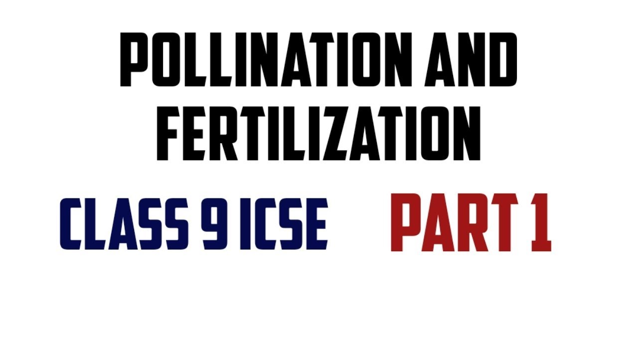 POLLINATION AND FERTILIZATION Class 9 ICSE PART 1 - YouTube