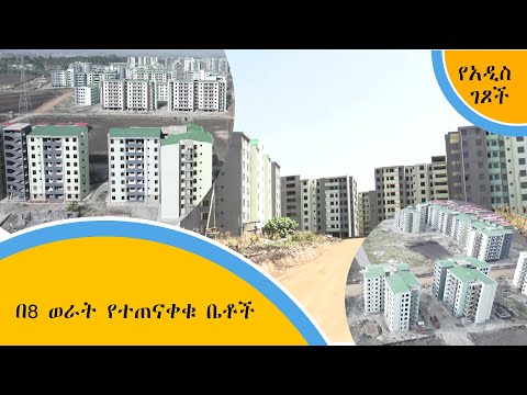 ቪዲዮ: ለአረንጓዴ ቤቶች ፖሊካርቦኔት እንዴት እና እንዴት እንደሚቆረጥ? ለግሪን ሃውስ 3x4 ፣ መርሃግብር ይቁረጡ። በፔሚሜትር ላይ በግማሽ ክበብ እና ፖሊካርቦኔት ውስጥ በትክክል እንዴት እንደሚቆረጥ