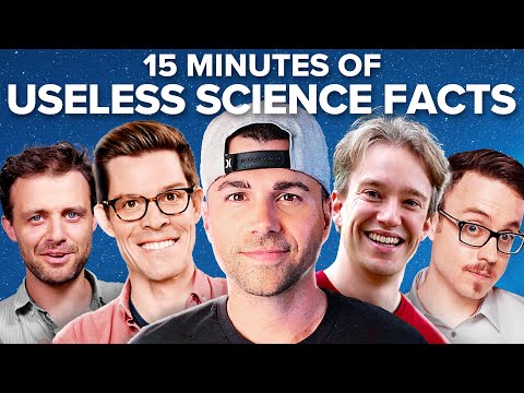 Video: 15 Random Quick Facts