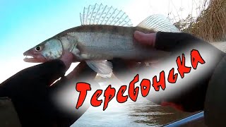 ТЕРЕБОНЬКА. Астраханская блесна для ловли судака. КАК СДЕЛАТЬ эту уловистую блесну