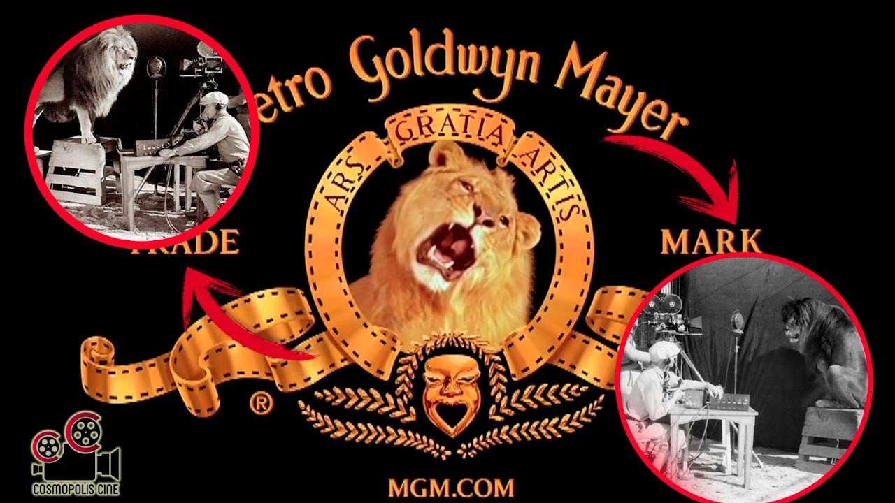 LA HISTORIA tras los LOGOS de los ESTUDIOS de CINE de HOLLYWOOD YouTube LA HISTORIA tras los LOGOS de los ESTUDIOS de CINE de HOLLYWOOD YouTube