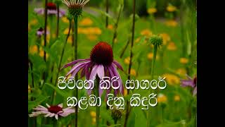 Neela Bingu Kela Karaoke (without voice) නීල බිඟු කැල