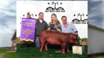 Walton Webcasting Video Commercial