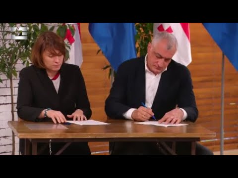 „ლელოს“ და „დროას\" ლიდერებმა კოალიციური თანამშრომლობის დოკუმენტს ხელი მოაწერეს