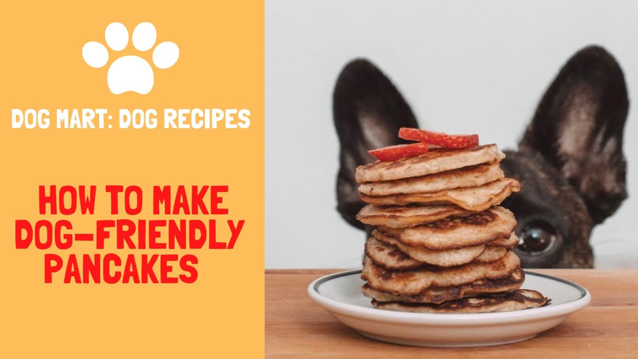 Dog Food Recipes How To Make DogFriendly Pancakes YouTube