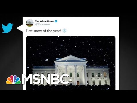 Climate Change-Denying White House Tweets About Snow When It's 70 Degrees | All In | MSNBC