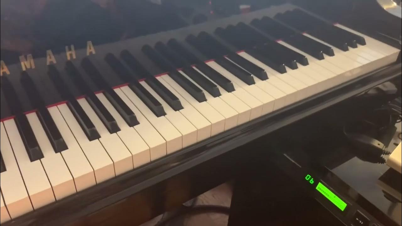 Brief Test AMT M40 Piano Mic Yamaha C3 Disklavier DC3E Grand