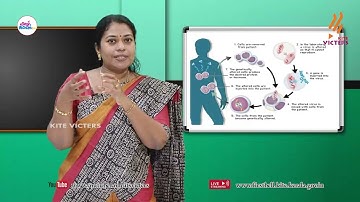 First Bell 2.0 Plus two Botany Class 33