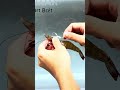 Kanama Luminous Shrimp Hooks - This Hook Keeps Your Shrimp Bait Full of Life.