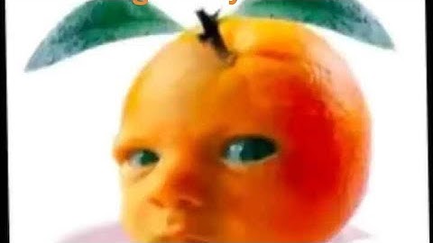 Not Even A Madness -TNP-