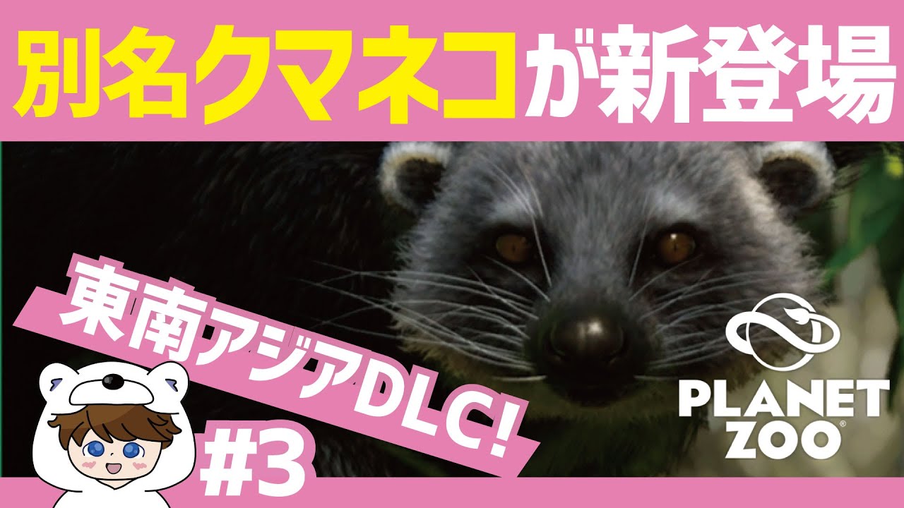 クマネコ