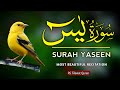 Surah Yasin Yaseen ( سورة يس ) |Full WithArabic Text | Sheikh Alaa Aqel | RS Tilawat Quran 