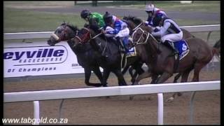 20150818 Greyville Race 6 won by STORMY ECLIPSE