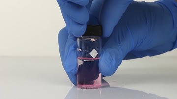 Free & Total Chlorine Testing with Pocket Colorimeter II