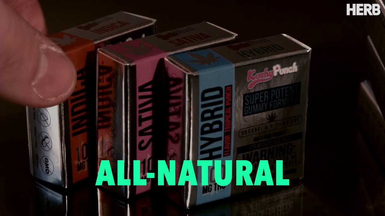 Feel the Power of the PUNCH! Kushy Punch x HERB