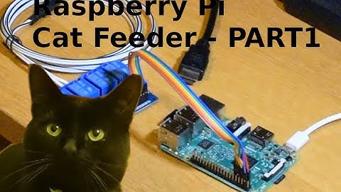 Raspberry Pi Automatic cat feeder - with email! PART 1