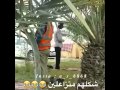 متزاعلين من بعض ههههههههه