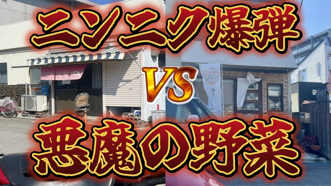 【徳島ラーメン】視聴者リクエストの店が凄すぎた！ニンニク＆野菜の波に溺れるハシゴ旅