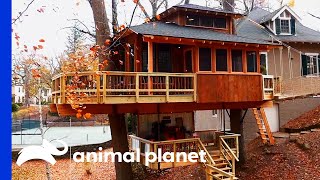 Family Can't Get Enough Of This Glamorous Glamping Getaway | Treehouse Masters