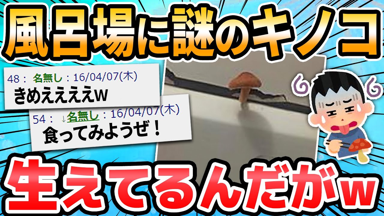 【2ch面白いスレ】風呂場にキノコ生えててワロタwwwww